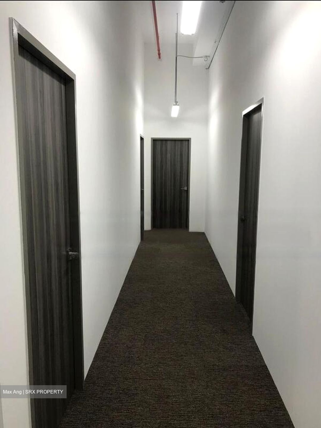 Primz Bizhub (D25), Factory #455325981